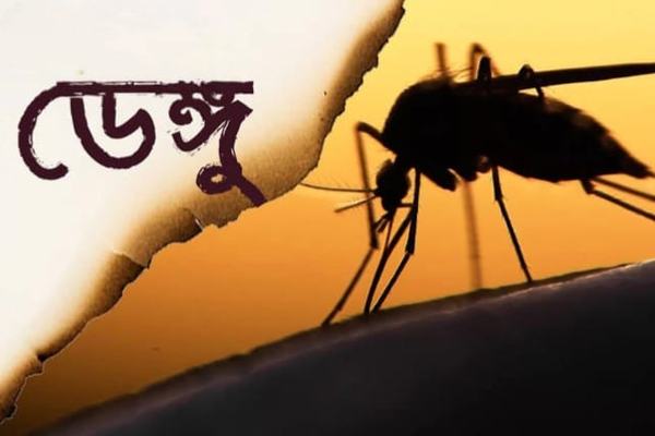 ২৪ ঘণ্টায় ডেঙ্গুতে আরও ৩ জনের মৃত্যু, নতুন আক্রান্ত ৩৭২